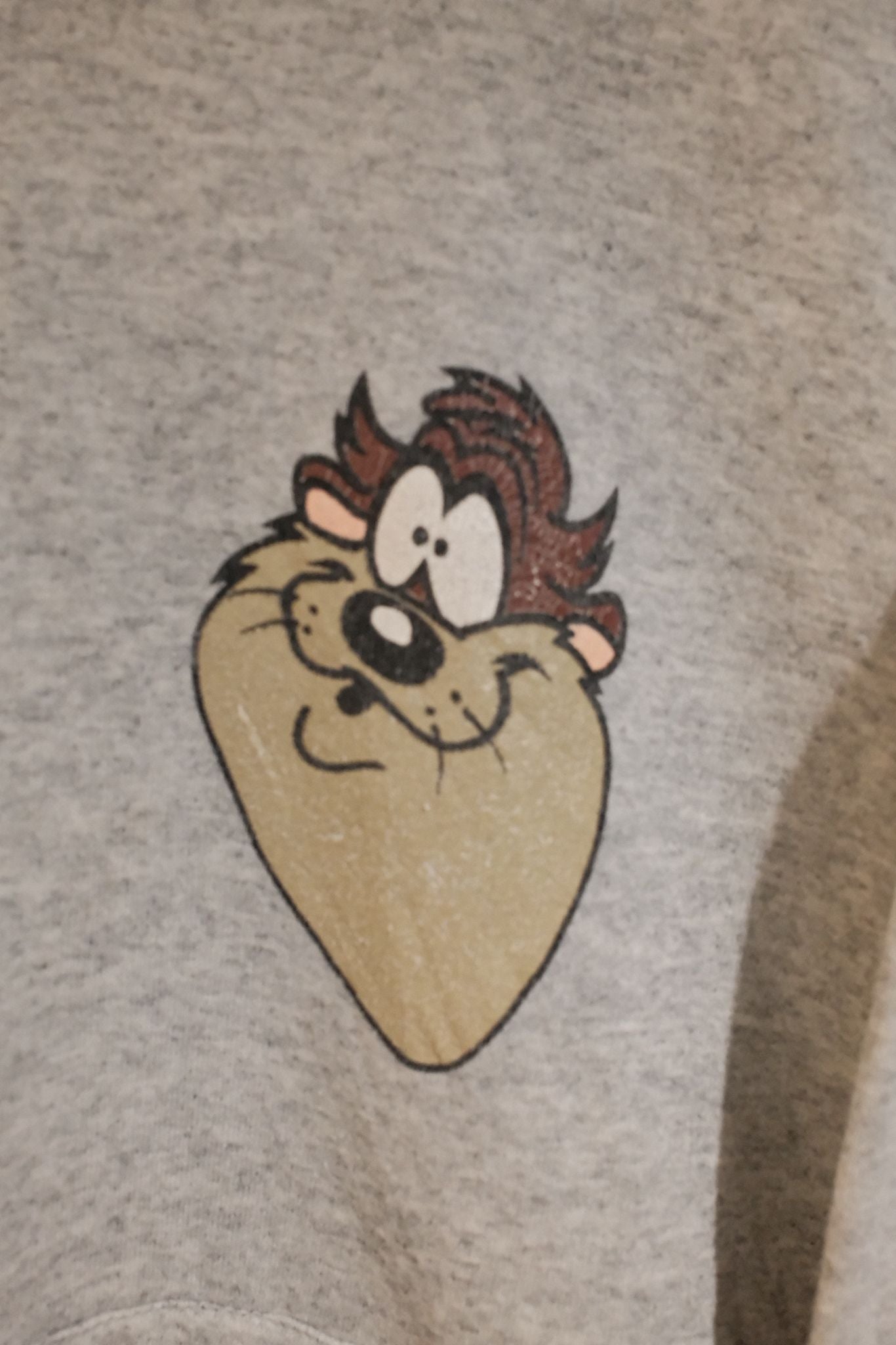 Vintage 1993 Looney Tunes Tasmanian Devil (Taz) Hoodie