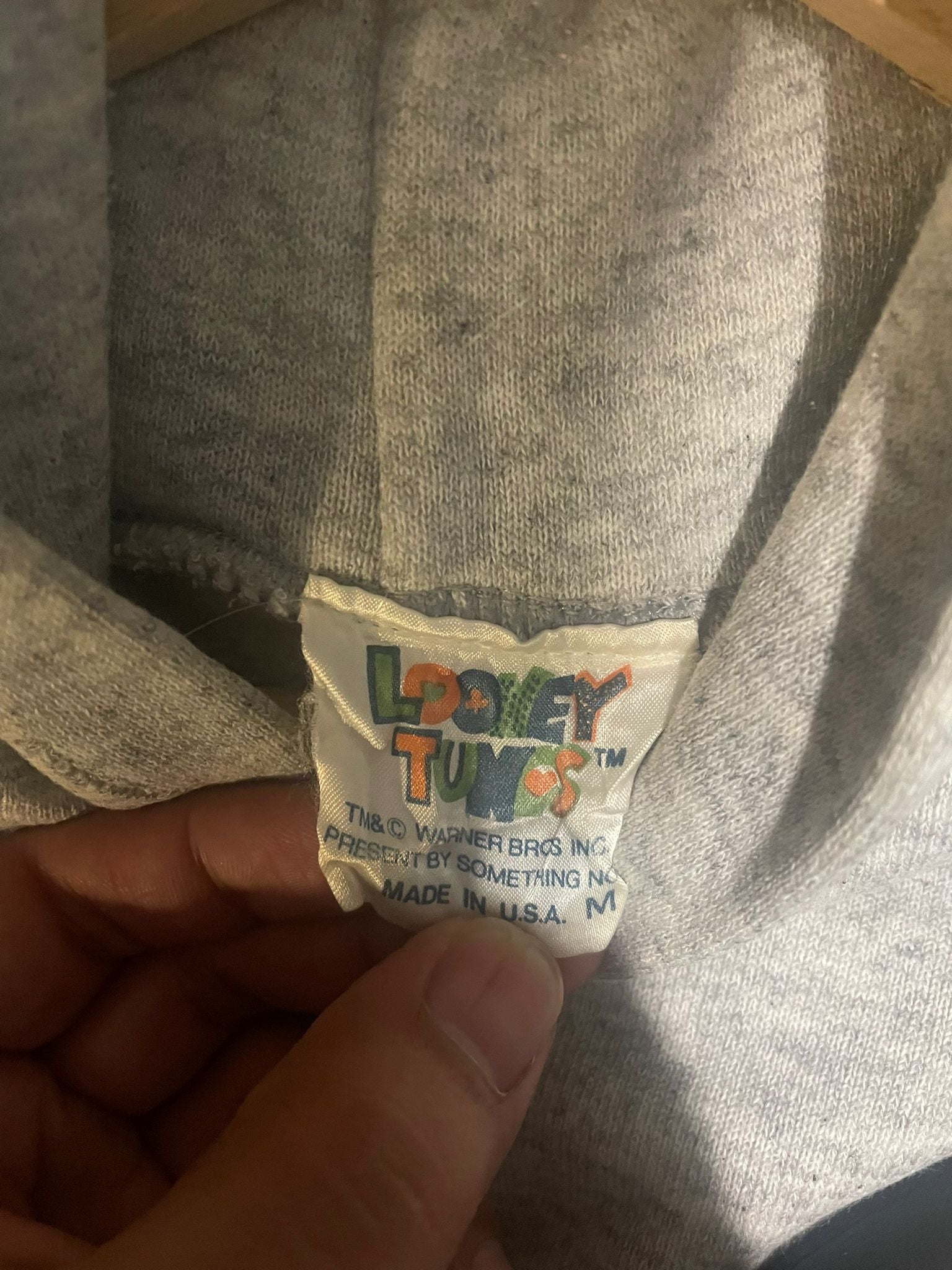 Vintage 1993 Looney Tunes Tasmanian Devil (Taz) Hoodie